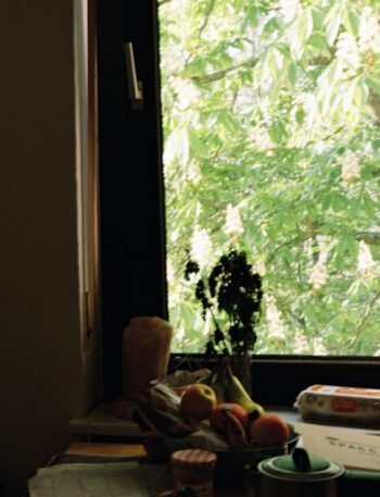 Table with fruit and window view of trees