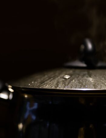 stainless steel cooking pot with lid